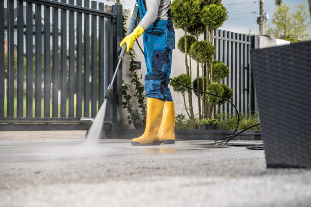 Best House Pressure Washing  in Carteret, NJ