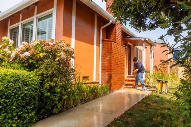 Best Pressure Washing Near Me  in Carteret, NJ