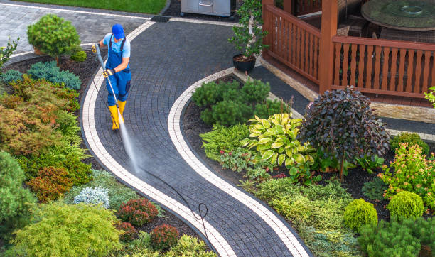 Best Pressure Washing Company Near Me  in Carteret, NJ