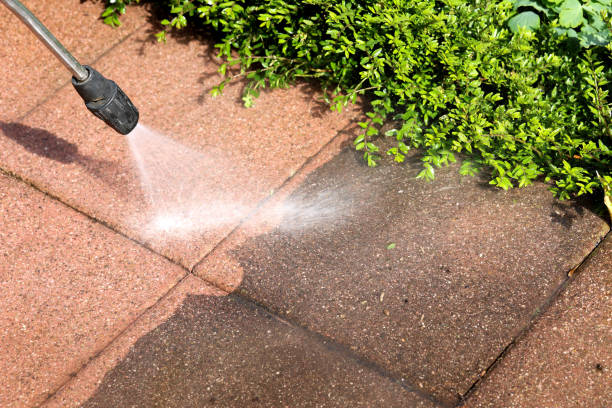 Best Affordable Pressure Washing  in Carteret, NJ